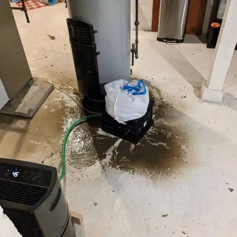 Sewage Backup Cleanup Service in Elberta, AL